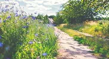 Gesprächstherapie Göppingen behandlungsablauf