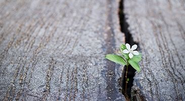 Psychotherapie Göppingen therapieangebote